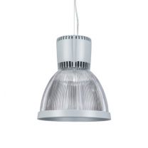 Bryan Pendant Clear 33W 830 4200lm Grijs 315