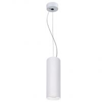 Hanglamp LED Dieke 12W 827 880lm wit