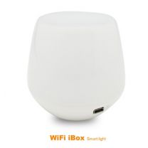 WiFi IBox Module + Adaptor
